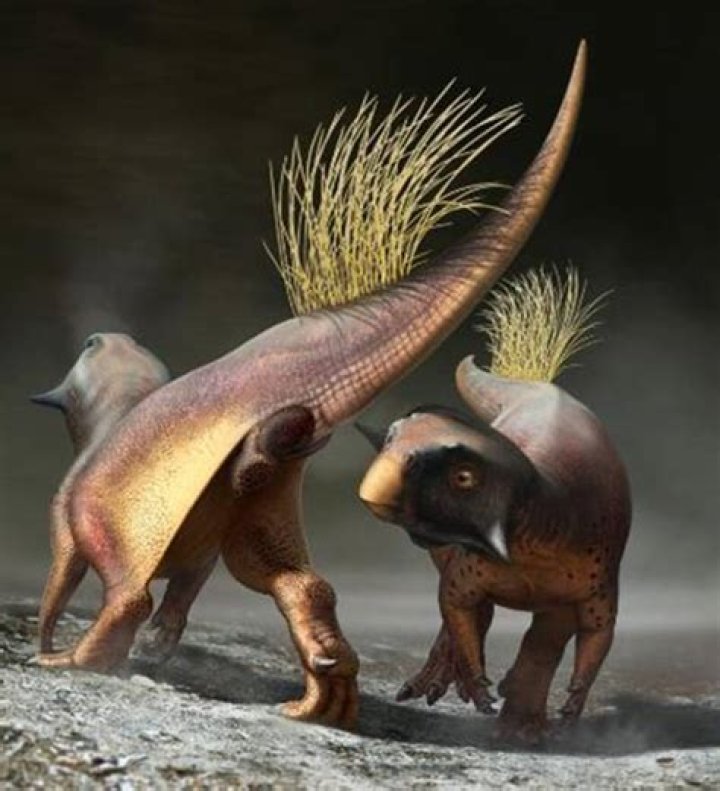 100-Million-Year-Old Fossil Reveals How Dinosaurs May Have Mated