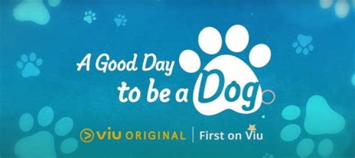 A Good Day to Be a Dog Episode 15 & 16 Release Date, Spoiler, Storylines, Characters & Trailer