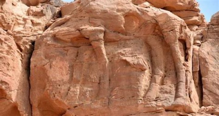 Al Jawf Camel Carvings Found To Be Older Than The Pyramids