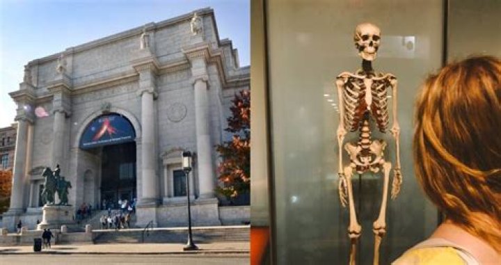 American Museum Of Natural History Will Remove All Human Remains From Displays