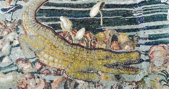 Ancient Egyptians Hunted Crocodiles Just To Mummify Them