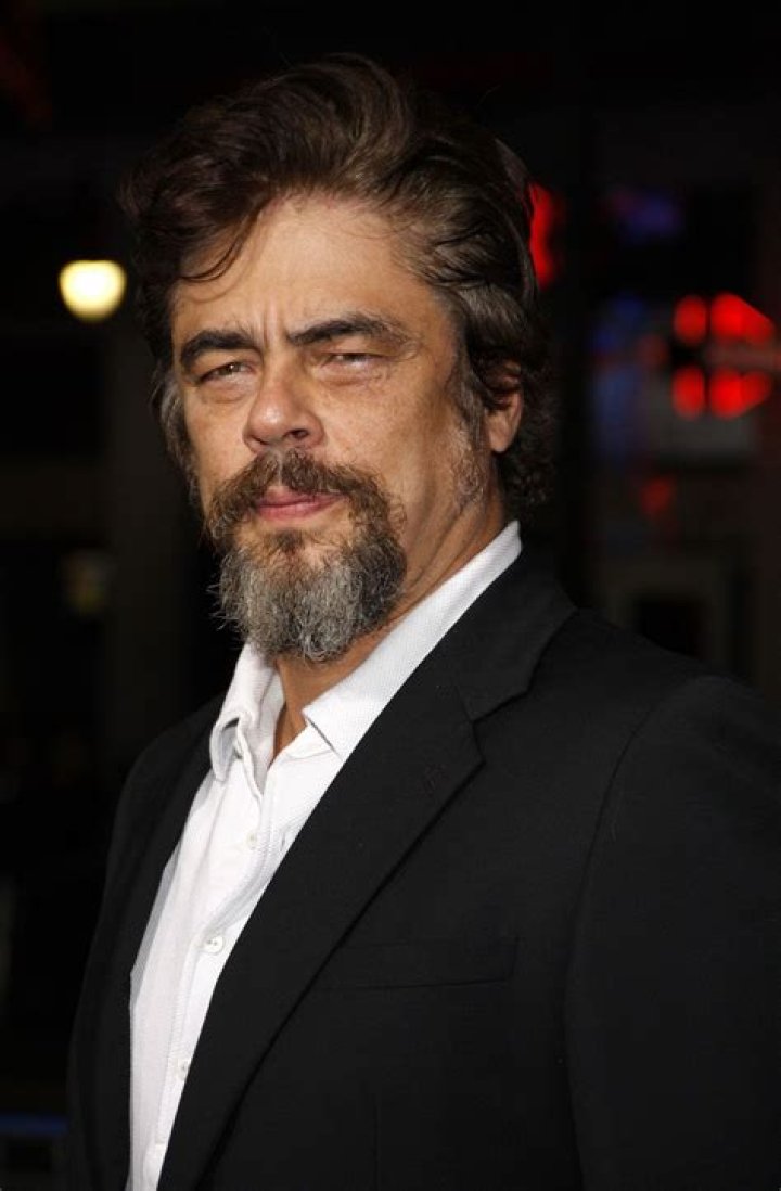 Benicio del Toro