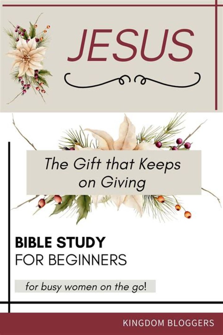 Bow Brows Are the Gift That Keeps on Giving on Instagram!