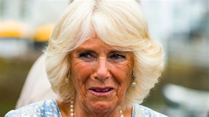 Camilla, Queen consort of the United Kingdom