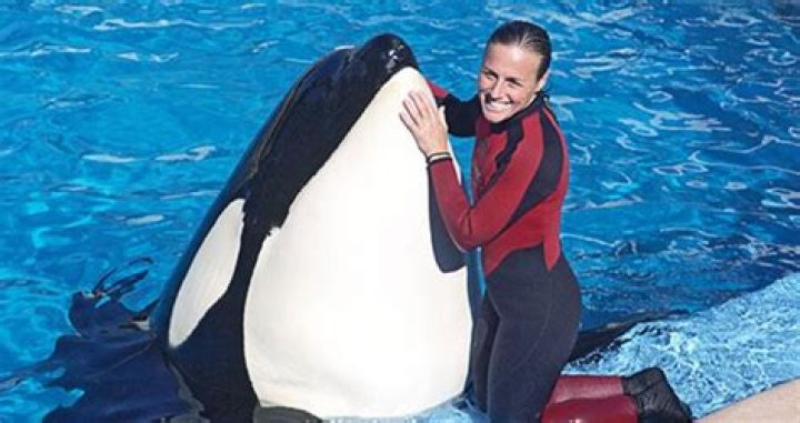 Dawn Brancheau, The SeaWorld Trainer Killed By A Killer Whale