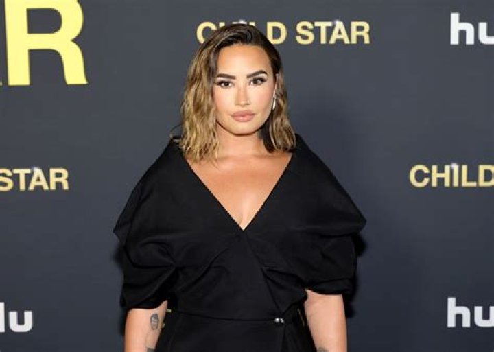Demi Lovato’s Crib Is So Unique! See Photos Inside the Singer’s Artistic L.A. Home
