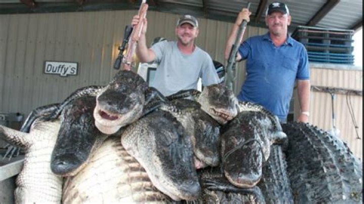 Here’s How Much Alligator Hunters Make in Swamp People.