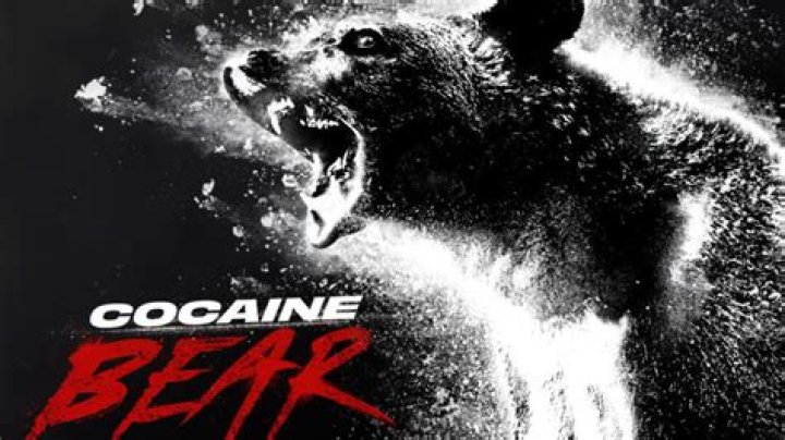 How A Bear Overdosed On Cocaine In 1985 And Inspired The Movie 'Cocaine Bear'