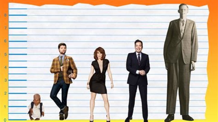 How tall is Adam Scott