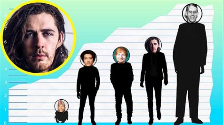 How tall is Hozier