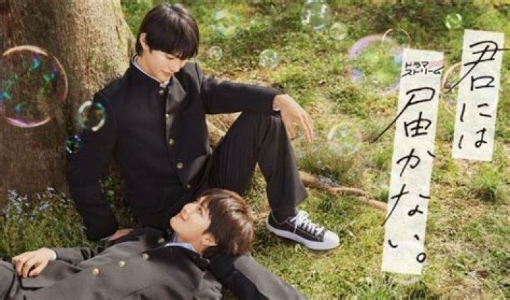 Kimi ni wa Todokanai Season 2 Spoiler, Release Date, Recap, Where to Watch, Trailer, Cast, Characters & More