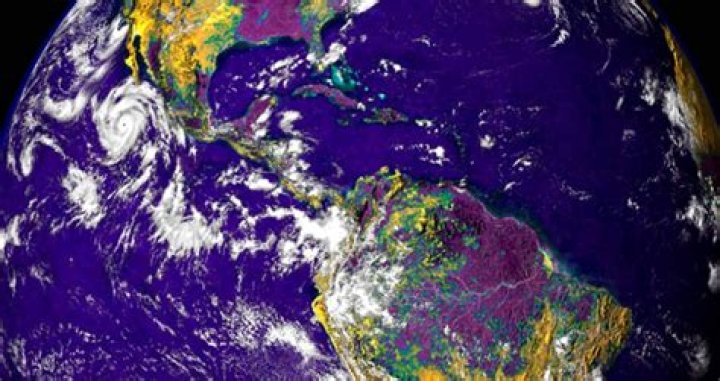 Life On Earth May Have Been Purple And Not Green, Research Says