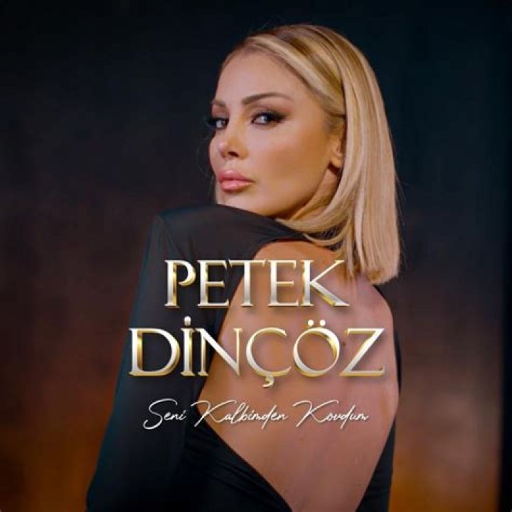 Petek Dinçöz Youtuber overview