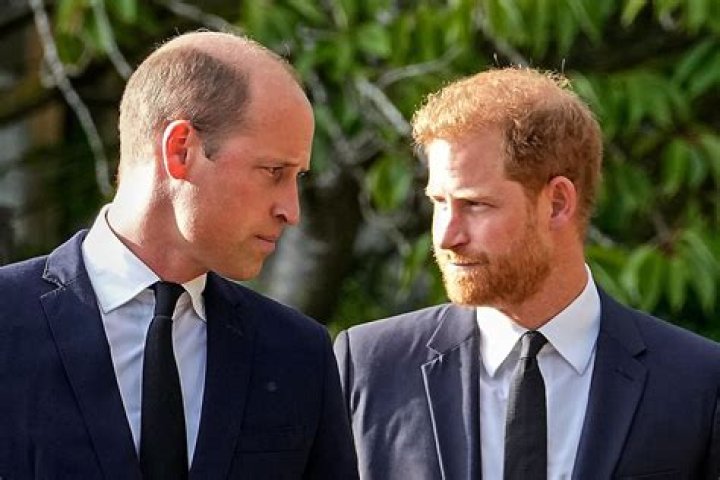 Prince Harry Is Starting to Bald, and His Big Brother Must Be Having a Field Day