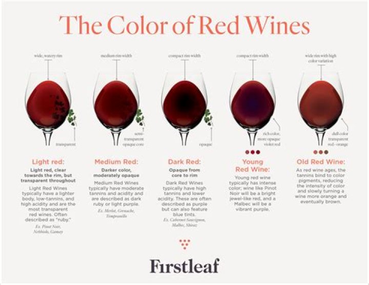 Red, White, and Rosé: What Color Wine Does Your Favorite Celebrity Prefer?