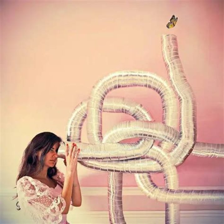 The Whimsical Worlds Of Lara Zankoul