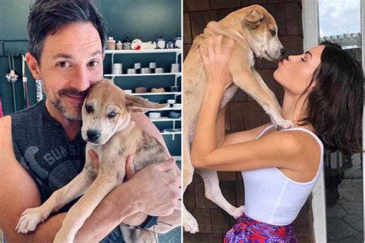 Too Cute! Jenna Dewan and Steve Kazee Celebrate the 1-Year Anniversary of Adopting Their Dog